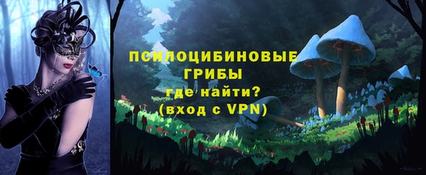 сатива Абинск