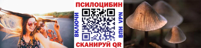 Псилоцибиновые грибы Magic Shrooms  Стерлитамак 